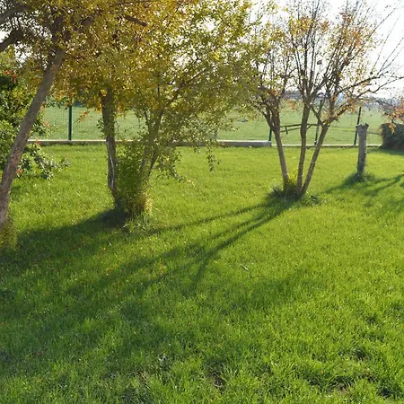 Mas Piua * 赫罗纳